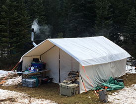 A canvas prospector tent in the woods with smoke billowing from its chimney.